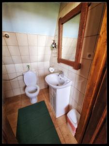 un piccolo bagno con servizi igienici e lavandino di Noclegi u Marka a Czernichów