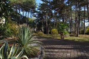 A garden outside Appartamenti Alemagna