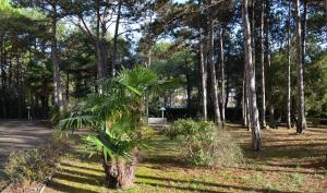A garden outside Appartamenti Alemagna