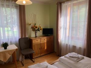 Televiisor ja/või meelelahutuskeskus majutusasutuses Hotel Ötscherblick