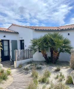 a white house with a palm tree in front of it at Fleur de Ré in Loix