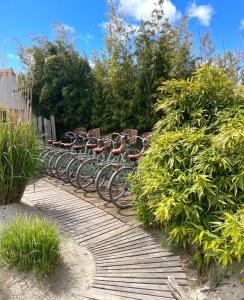 une rangée de vélos garés sur un chemin en bois dans l'établissement Fleur de Ré, à Loix