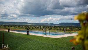 a swimming pool in the middle of a field at Finca casa rural de la Mata in Toledo +21 photos