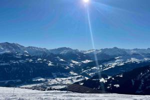 Bilde i galleriet til Studio Apt in FLIMS next to Caumasee i Flims