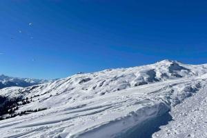 Bilde i galleriet til Studio Apt in FLIMS next to Caumasee i Flims