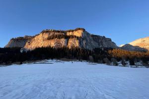 Bilde i galleriet til Studio Apt in FLIMS next to Caumasee i Flims