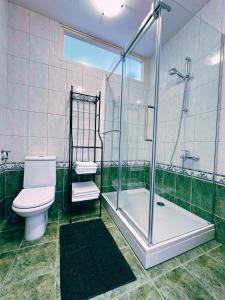 ein Bad mit einer Dusche, einem WC und einem Waschbecken in der Unterkunft Apartments Vilma in Murter