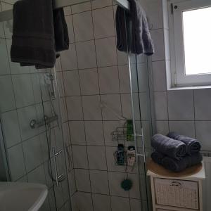 uma casa de banho com um chuveiro e um lavatório. em Ferienhaus in Gnas em Gnas