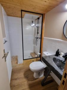 a bathroom with a shower and a toilet and a sink at Orri de Planès in Planès
