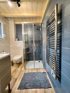 ein Bad mit einer Dusche und einem WC in der Unterkunft Chalet Entre Lac et Forêt 4* vue panoramique lac in Gérardmer