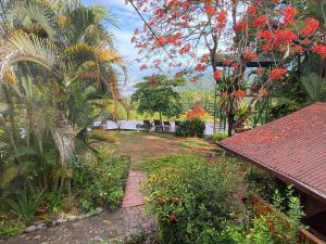 Pacific Edge Eco Lodge في دومينيكال: حديقة بها زهور حمراء وأشجار وطريق