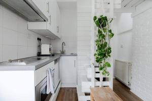 a white kitchen with a plant hanging from the wall at Charming Primrose Hill Loft near train station in London
