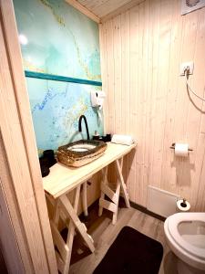 a bathroom with a sink and a toilet at Апартаменти Smereka in Yablunytsya