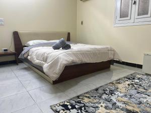 um quarto com uma cama com duas almofadas e um tapete em 2Brs Downtown Heliopolis l Near services no Cairo