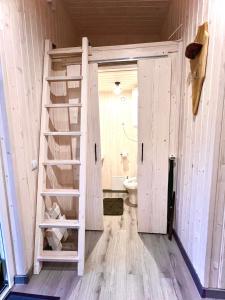 a bathroom with a ladder leading to a toilet at Апартаменти Smereka in Yablunytsya