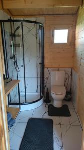 mała łazienka z toaletą i prysznicem w obiekcie Drewniane domki - Zamek Krzyżacki w mieście Malbork