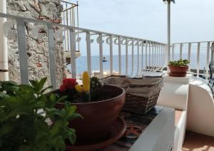 a balcony with a potted plant and a view of the ocean at B&B Ventura in Lipari