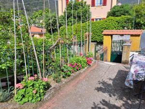 un jardin avec des fleurs roses et une clôture dans l'établissement Affittacamere Sophie, à Monterosso al Mare