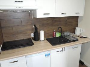 a kitchen counter with a sink and a stove at Family House in Wapnica by Emerald Lake in Wapnica +9 photos