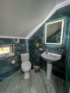 La salle de bains est pourvue de toilettes et d'un lavabo. dans l'établissement Shum Cheremosha, à Verkhovyna