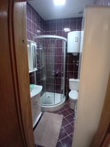 een badkamer met een douche, een toilet en een wastafel bij Šumska Vila in Bajina Bašta