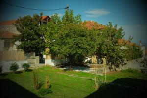 a tree in a yard next to a house at Villa Philia - Olympus in Litochoro