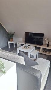 Μια τηλεόραση ή/και κέντρο ψυχαγωγίας στο Haus Westharz Hahnenklee