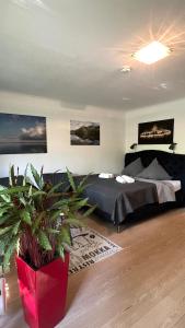 a bedroom with a bed and a potted plant at Ruheoase am Strand Wassersleben in Harrislee