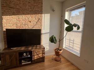 salon z telewizorem z płaskim ekranem i rośliną w obiekcie 1 Bedroom in apartment in Bedstuy Brooklyn w mieście Brooklyn