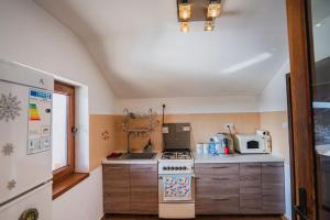 a small kitchen with a stove and a microwave at Diana Resort in Timişoara