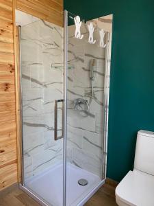 a shower with two cats on the wall in a bathroom at Leśna Ostoja in Lubawka +55 photos