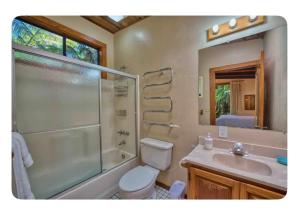 a bathroom with a toilet and a shower and a sink at The Pacifica Inn in Volcano