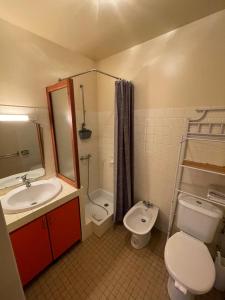 W łazience znajduje się umywalka, toaleta i prysznic. w obiekcie Le D'Artagnan - App 12bis - Balcon w mieście Cazaubon