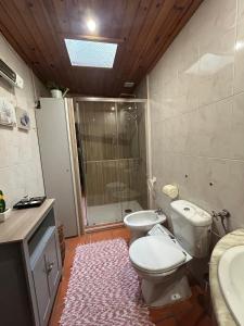y baño con aseo, ducha y lavamanos. en Casas do Casinhoto - Casa do Cabo, en Baião