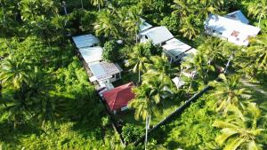 Aed väljaspool majutusasutust General's Hideout Siargao