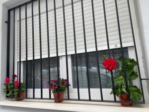 een raam met potbloemen op een vensterbank bij Apartament centre casaPat in Xàtiva