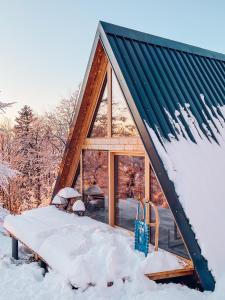 une cabine dans la neige avec une grande fenêtre dans l'établissement A-frame Forest Nest, à Cerklje na Gorenjskem