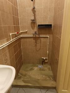 y baño alicatado con ducha y lavabo. en Micro Maxi House, en Bela Crkva