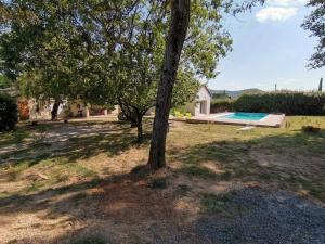 a yard with a tree and a swimming pool at les papillons in Ruoms