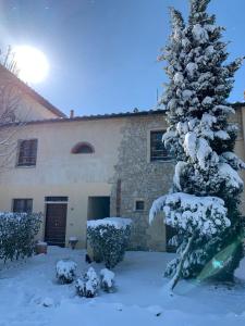 un albero innevato di fronte a una casa di Il Nido a Gambassi