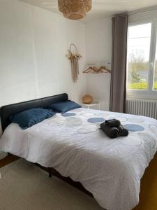 Gallery image of Maison proche plage in Flamanville