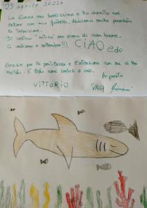 a drawing of a shark on a whiteboard at Casa dolce casa in Viareggio