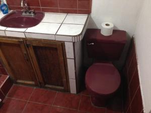 La salle de bains est pourvue de toilettes violettes et d'un lavabo. dans l'établissement El Cacique EST 2003, à Santiago Este