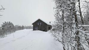 ヤイロにあるhavsdalen 57の雪に覆われた丘の上のキャビン
