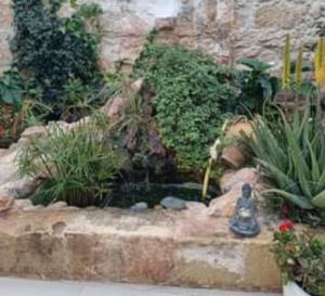 un jardin avec un petit étang dans l'établissement Room in Ain Karem - A Maltese Traditional Townhouse, à Mosta