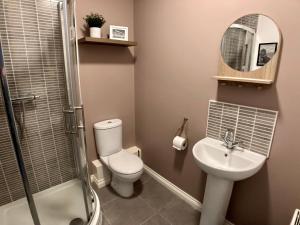 a bathroom with a toilet and a sink and a mirror at Emily Lane Apartments in Belfast