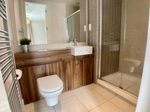 a bathroom with a toilet and a sink and a shower at Hamilton Road Apartments in Belfast