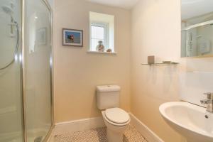 La salle de bains est pourvue de toilettes, d'un lavabo et d'une douche. dans l'établissement Canny Croft, à Bridgwater