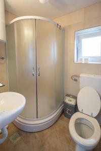 a bathroom with a shower and a toilet and a sink at ENA Kuća za odmor in Ston +21 photos
