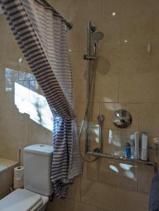 a bathroom with a shower with a toilet and a shower curtain at Little Chilsbury in Potterne